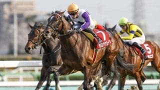 20年の皐月賞3着馬 ガロアクリークが抹消・乗馬に