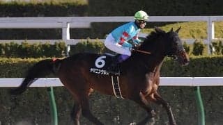 【プロキオンS想定馬・騎手】ヤマニンウルス、ブルーサンなど18頭