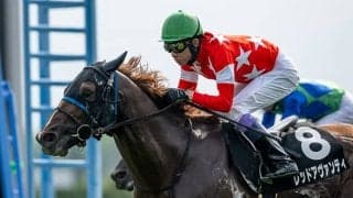 今週の武豊騎手は14鞍 ソフトバンク柳田選手所有馬との新馬戦、デビットバローズで巴賞初制覇に挑む