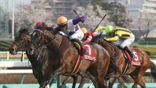 ガロアクリークの競走馬登録抹消…スプリングS 勝ち馬