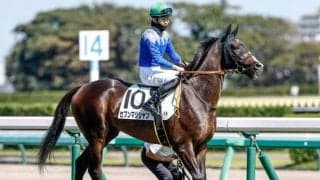 【今日の注目ポイント】博多Sでセブンマジシャンがオープン入りを狙う