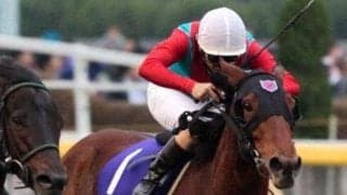 ノースヒルズの名牝系出身 フランケル産駒のデルアヴァーがデビューV狙う