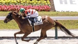 【福島2R】単勝217.7倍の伏兵が勝利 3連単は327万超えの大波乱に