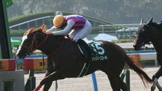 【北九州記念予想】前走の着順関係なしだが内容は重要!? 好走が期待できないケースとは