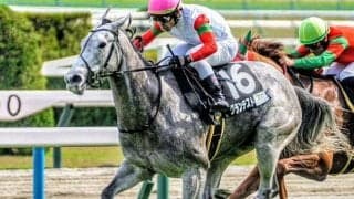 北九州記念は高速決着なら内＆前有利 絶好4番枠のグランテストで好配狙い