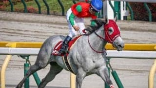 フローラS昨年覇者の半妹がデビュー 骨折による無念の引退の姉に吉報を届けられるか