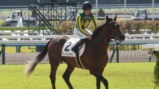 【AI予想・ラジオNIKKEI賞】ハイレベルなレースでの走りが本物の証！ 相手弱化で重賞初制覇のチャンス到来