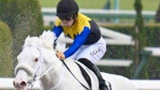 ソダシ＆ママコチャの半弟カルパ 距離延長克服で連勝狙う