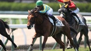 【函館7R】武豊マイノワールが力強く差し切る