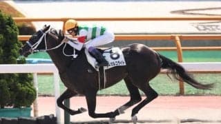 【函館8R】武豊アーマルコライトが抜け出す