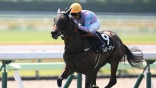 【長万部特別】好調・武豊騎手が3連勝…ナムラローズマリーで断然の支持に応える