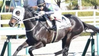 【北九州記念予想】今年は開幕週に設定されたスプリント戦 逃げ・先行有利の舞台だが結果はいかに