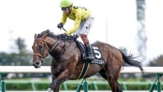 【ラジオNIKKEI賞予想】荒れるレースに妙味傾向がある!? 過去データで探るラジオNIKKEI賞