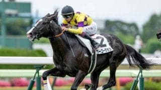 【函館5R新馬戦結果】1番人気のモーリス産駒ゴーゴータカシが逃げ切りV！