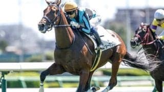 【ラジオNIKKEI賞・馬体重】ショーマンフリートは486kg(-6)、シリウスコルトは478kg(+6)