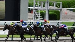 【JRA・WIN5】本日のWIN5は的中51票、配当761万8780円