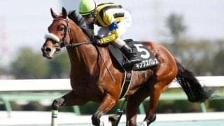 七夕賞とプロキオンSの2重賞/今週の競馬界の見どころ