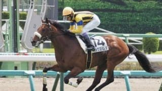 【七夕賞登録馬】キングズパレスなど16頭