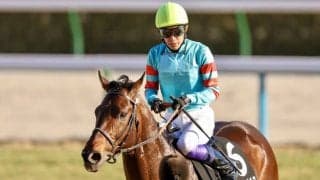 【プロキオンS登録馬】無敗馬ヤマニンウルスなど19頭