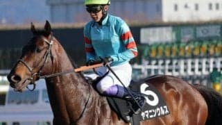 【プロキオンS見どころ】破竹の勢いヤマニンウルスの5連勝に期待