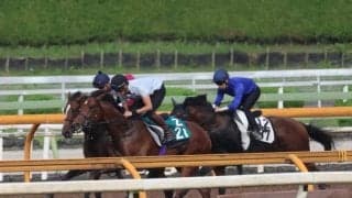 母は北米G1勝ち馬 3億円馬ダノンシーマが小倉で始動/関西馬メイクデビュー情報