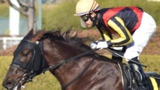 一族初のダートタイトル獲得なるか ジェンティルドンナの半弟がプロキオンSに挑む