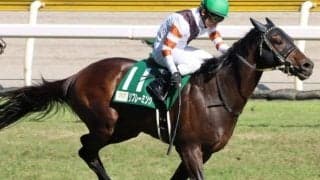 キングヘイロー産駒5年ぶりのJRA重賞制覇へ 福島巧者の息子が七夕賞参戦