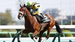 【AI予想・七夕賞】前回の距離には要注意!? 人工知能は前走の内容が光る3頭に高評価