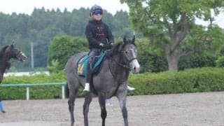 キセキやダイワエルシエーロなど一族にGI馬も 初陣控えるショウナンバシリス/関東馬メイクデビュー情報