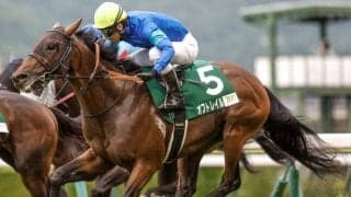 小回りコース向きの持続力感じさせる ラジオNIKKEI賞勝ち馬を血統面から解説