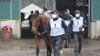 リザーブ価格7000万円が2頭！ セレクトセール初日で億超えが期待される1歳馬は？ 