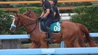 プレスジャンケットなど、先週のゲート試験/栗東トレセンニュース