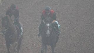 クァンタムミスの2022(クァンタムウェーブ)など、先週の入厩情報/栗東トレセンニュース