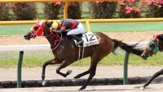 【函館2R】良血プルーヴンウィナーが初勝利…3連単は257万円超えの波乱