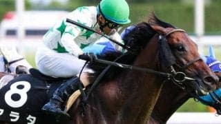 “東のレジェンド”と7歳馬のベテランタッグ 得意の福島芝2000mで七夕賞初制覇へ