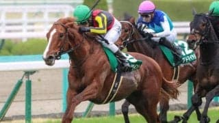 復活を遂げ再び大舞台へ “オークス馬の兄”となって初のレース・七夕賞を勝利で飾れるか