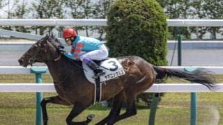 【プロキオンS予想オッズ】ヤマニンウルスが予想1番人気