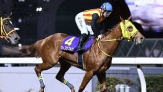 【スパーキングレディーカップ】菅原明ヴィブラフォンは8枠12番