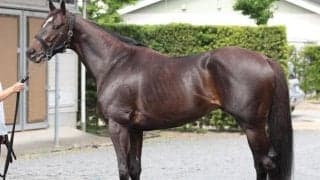 「一気にスターダムへ駆け上がることができそう」七夕賞で飛躍狙う最強5歳世代の新星とは