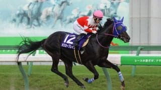 【盛岡・ハヤテスプリント】オスカーブレインが5馬身差圧勝…山本聡「楽に先手取れた」