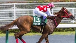 急逝が惜しまれるマテラスカイ レコードで重賞初制覇を決めたプロキオンS