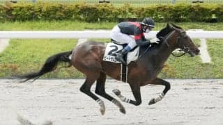 【東京1R】単勝1.3倍ビートザレコードが障害初勝利