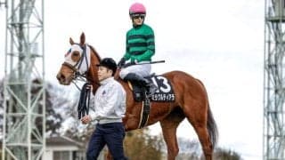 【川崎・スパーキングレディーC注目馬】夏のダート女王決定戦に個性豊かな12頭が集結