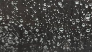 あなたの不調は湿邪のせいかも？