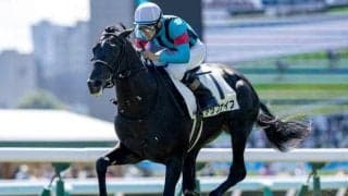 【函館記念想定】トップナイフ、ホウオウビスケッツなど12頭