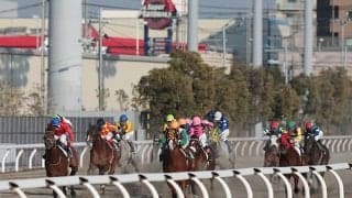 【川崎・スパーキングレディーC結果】アーテルアストレアが差し切りV！重賞3勝目を挙げる