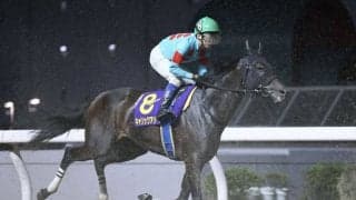 【スパーキングレディーカップ】赤岡「夢を見ましたね」キャリックアリードは惜しい2着