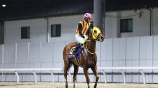 【スパーキングレディーカップ】菅原明「厳しい競馬になりました」ヴィブラフォンは3着敗退