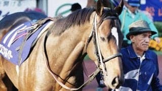 61kgで欧州年度代表馬、凱旋門賞馬相手に大楽勝 エルコンドルパサーのサンクルー大賞制覇から25年