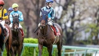 七夕賞登録のアサマノイタズラが左前浅屈腱炎を発症 今後は9カ月以上の休養要する見込み